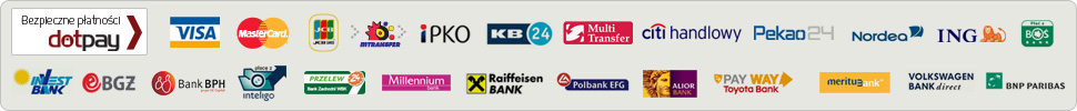 płatności elektroniczne
