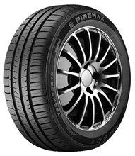 Firemax FM601 255/30R19 91 W XL