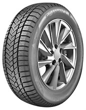 Sunny Wintermax NW211 205/55R17 95 V XL