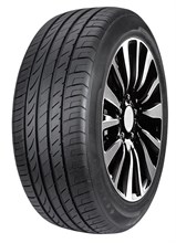 Double Star DU01 205/55R16 94 W XL