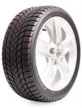 Landsail Winter Lander Nordic 205/50R17 93 T