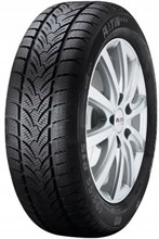 Platin RP-60 Winter 225/45R17 91 H