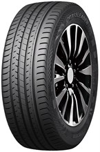 Double Star DSU02 275/45R21 110 W XL